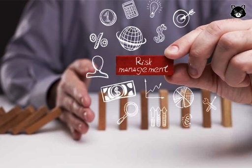 Gestion des risques d'investissement